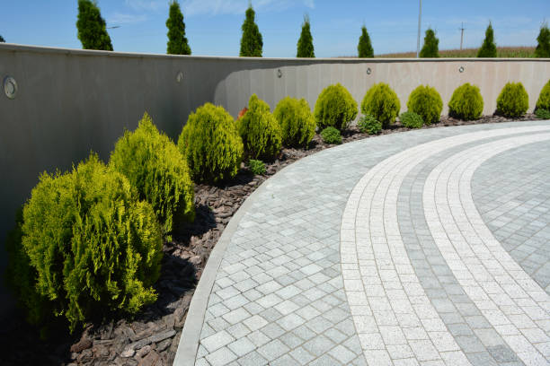 Professional Driveway Pavers in Mascotte, FL