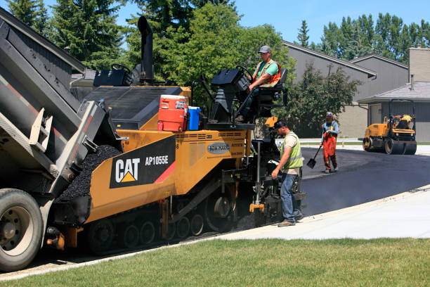Best Local Driveway Pavers  in Mascotte, FL